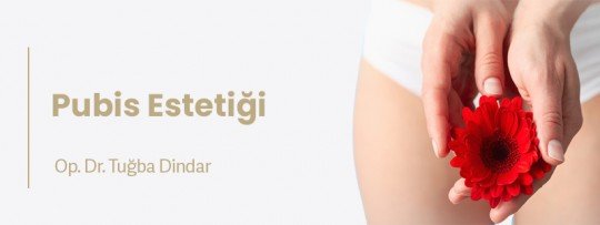 Pubis Estetiği